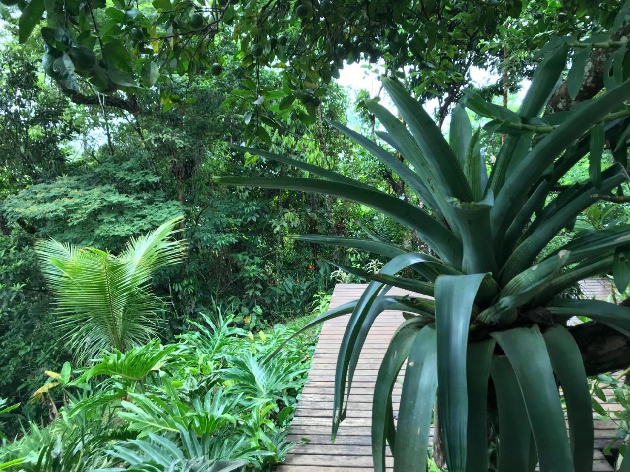 Pousada Rainforest House - Ilha Grande Buitenkant foto
