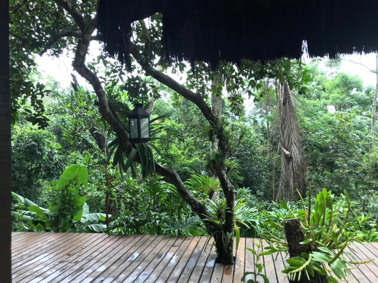 Pousada Rainforest House - Ilha Grande Buitenkant foto